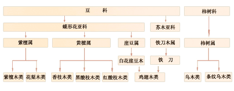 紅木國標五屬八類33樹種示例圖,國家標準5屬8類33種